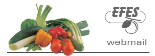 EFES Webmail -  Logo